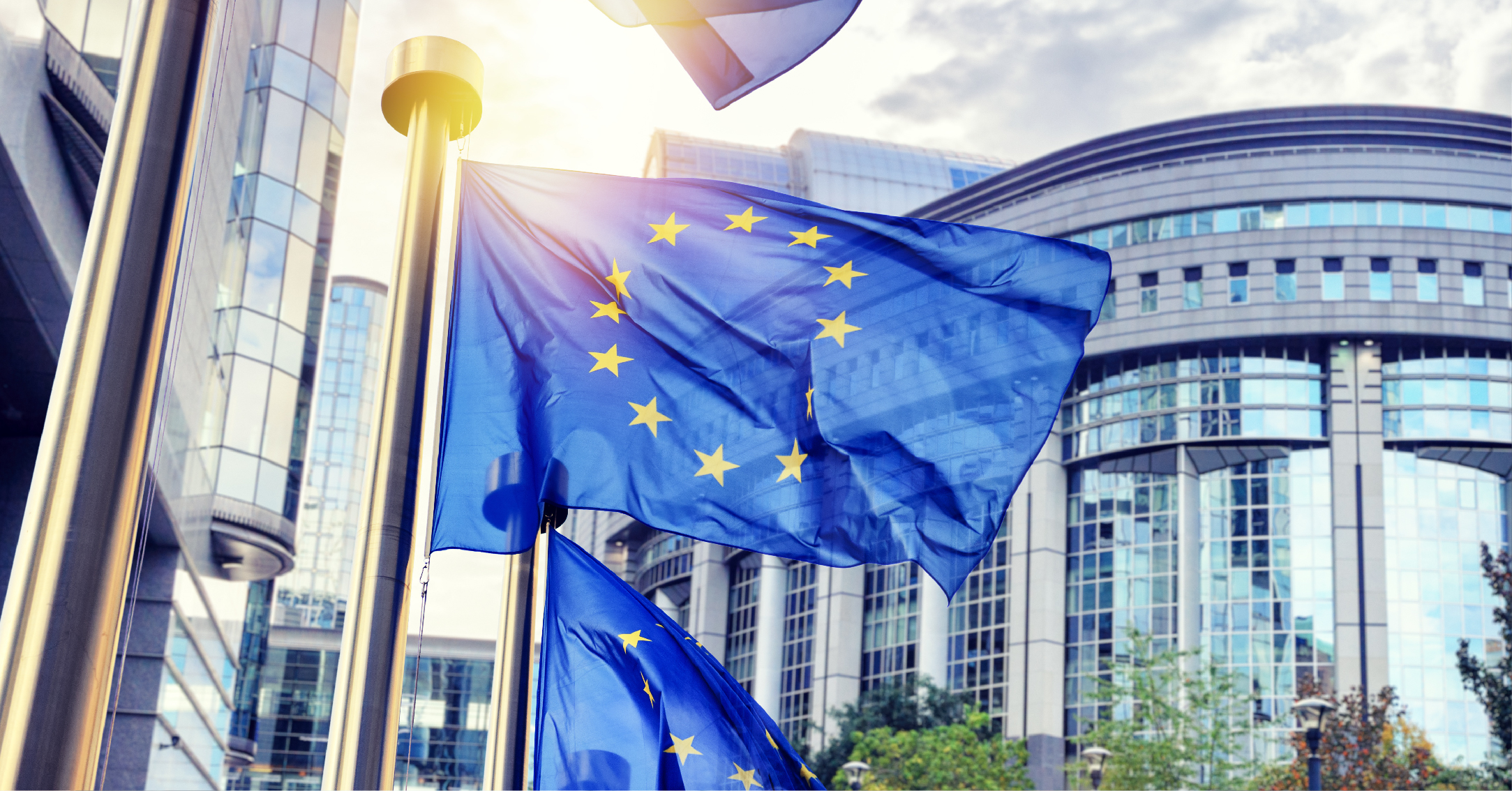 EU adopts Mandatory Disclosure Rules